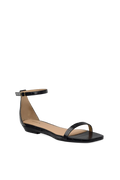 The Gigi - Coal Crocodile Flat