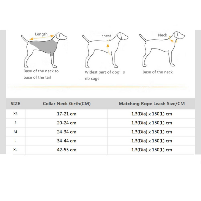 Venice Pink/Blue Collar & Leash Set - Dogs and Horses