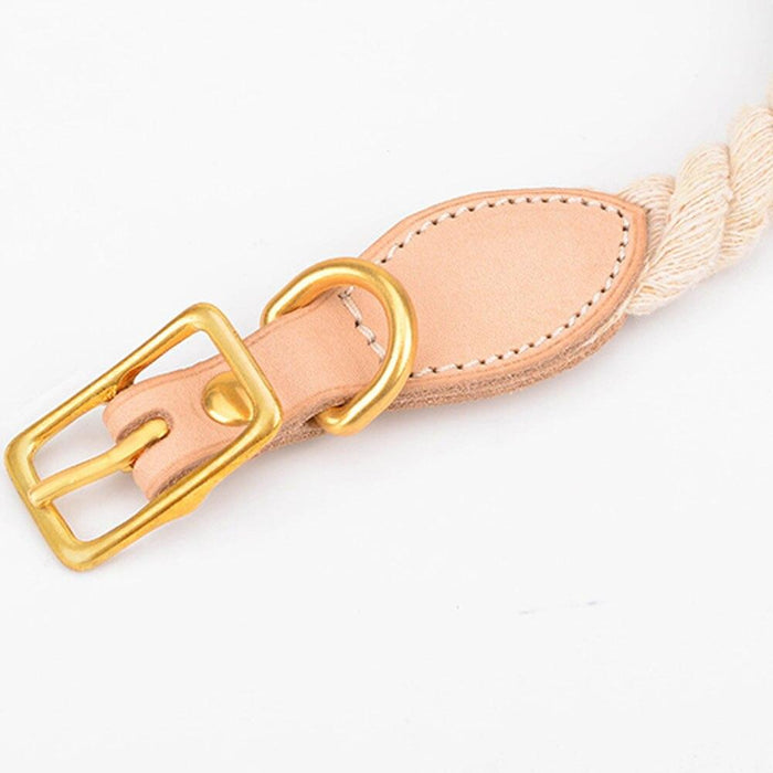 Venice Pink/Blue Collar & Leash Set - Dogs and Horses