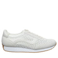 VIENNA WHITE