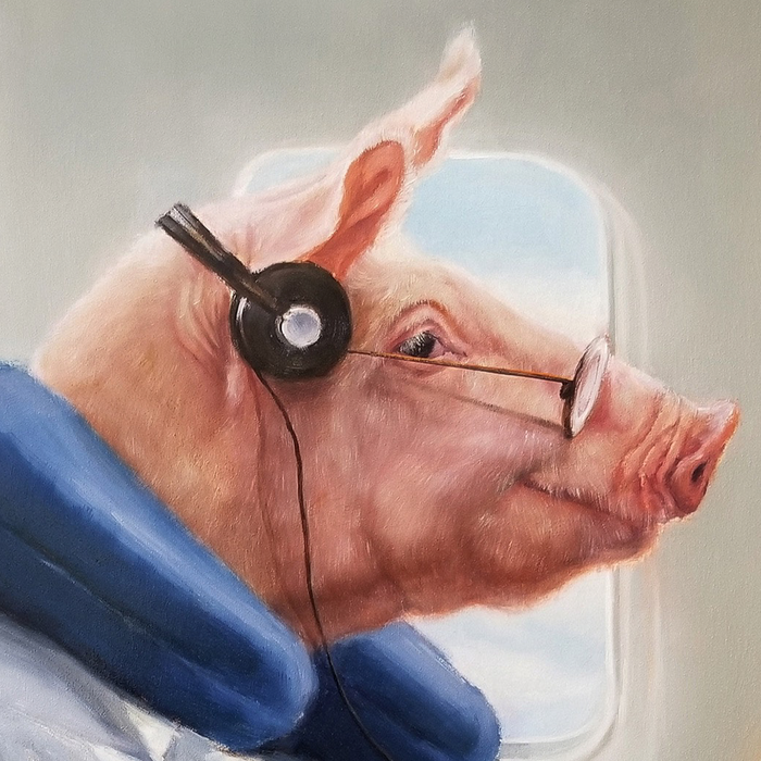 When Pigs Fly No. 2: Gallery Wrapped Canvas