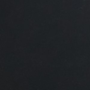 Zoea